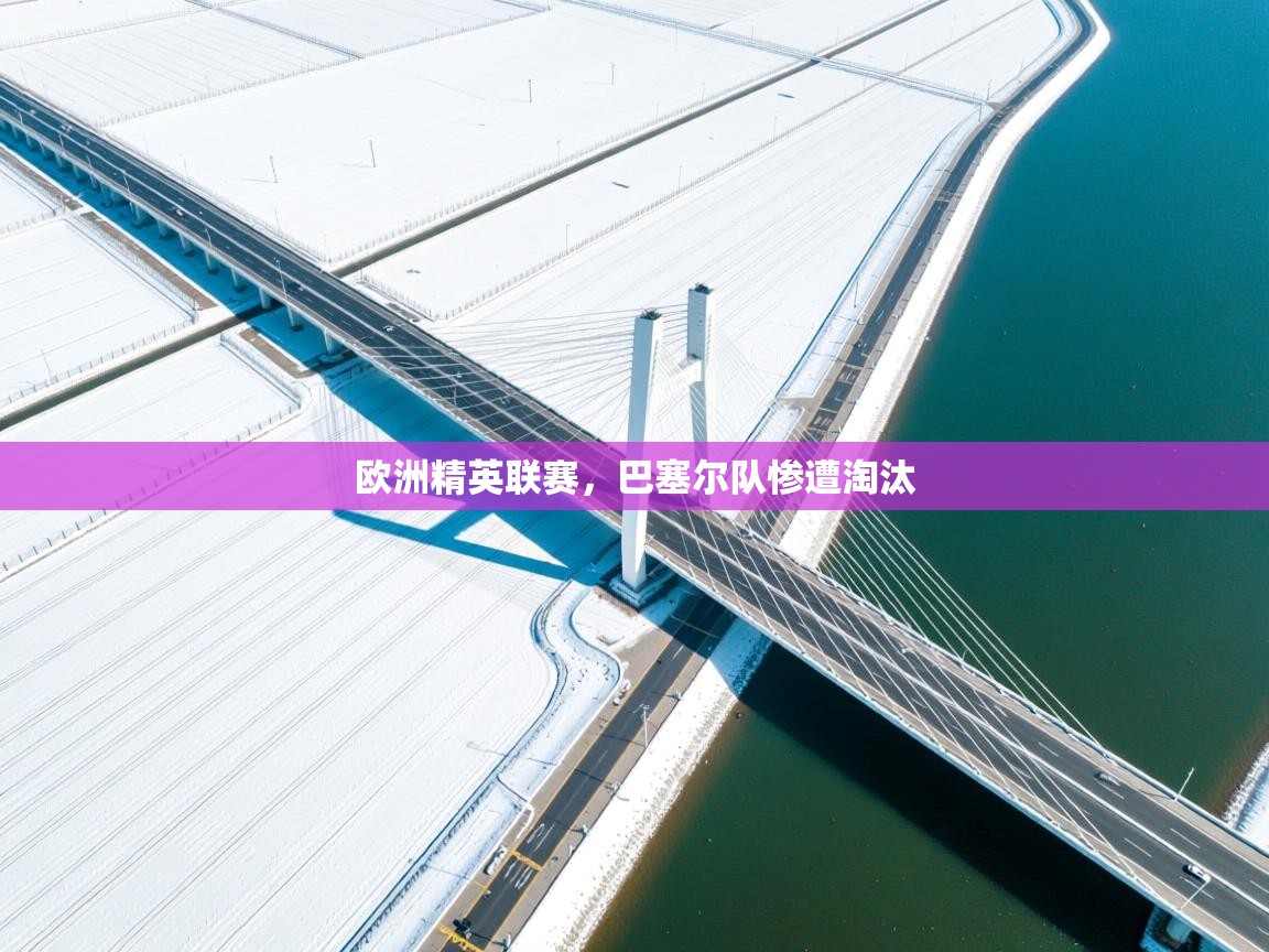 欧洲精英联赛，巴塞尔队惨遭淘汰  第2张