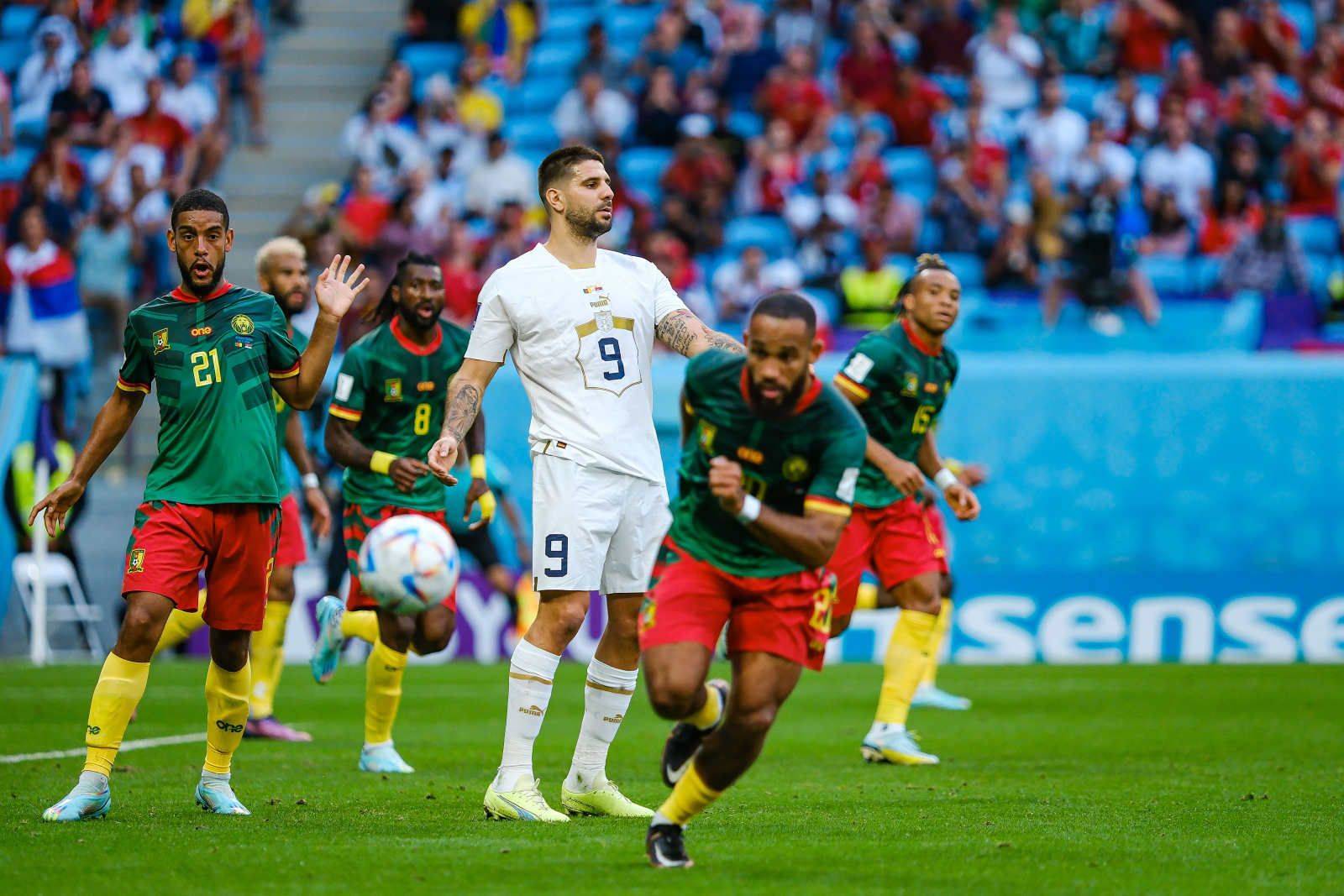 塞尔维亚球队宣布解雇主帅，寻找新领队的简单介绍