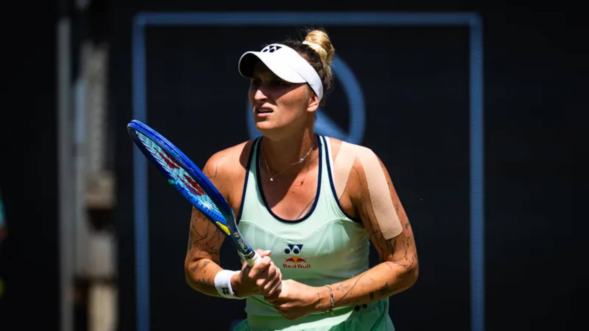 包含捷克游泳选手抢眼登场，创下佳绩的词条