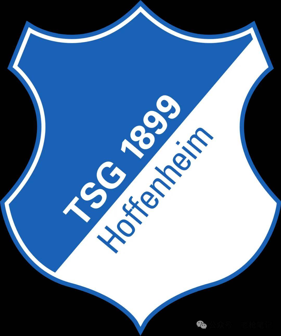 霍芬海姆主场对阵对手，冲刺积分榜的简单介绍